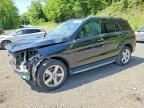 2019 MERCEDES-BENZ GLE