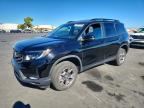 2023 HONDA PASSPORT