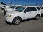 2011 FORD ESCAPE