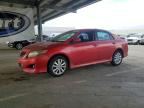 2009 TOYOTA COROLLA