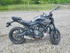 2026 YAMAHA MTN690
