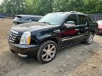 2010 CADILLAC ESCALADE