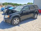 2010 FORD ESCAPE