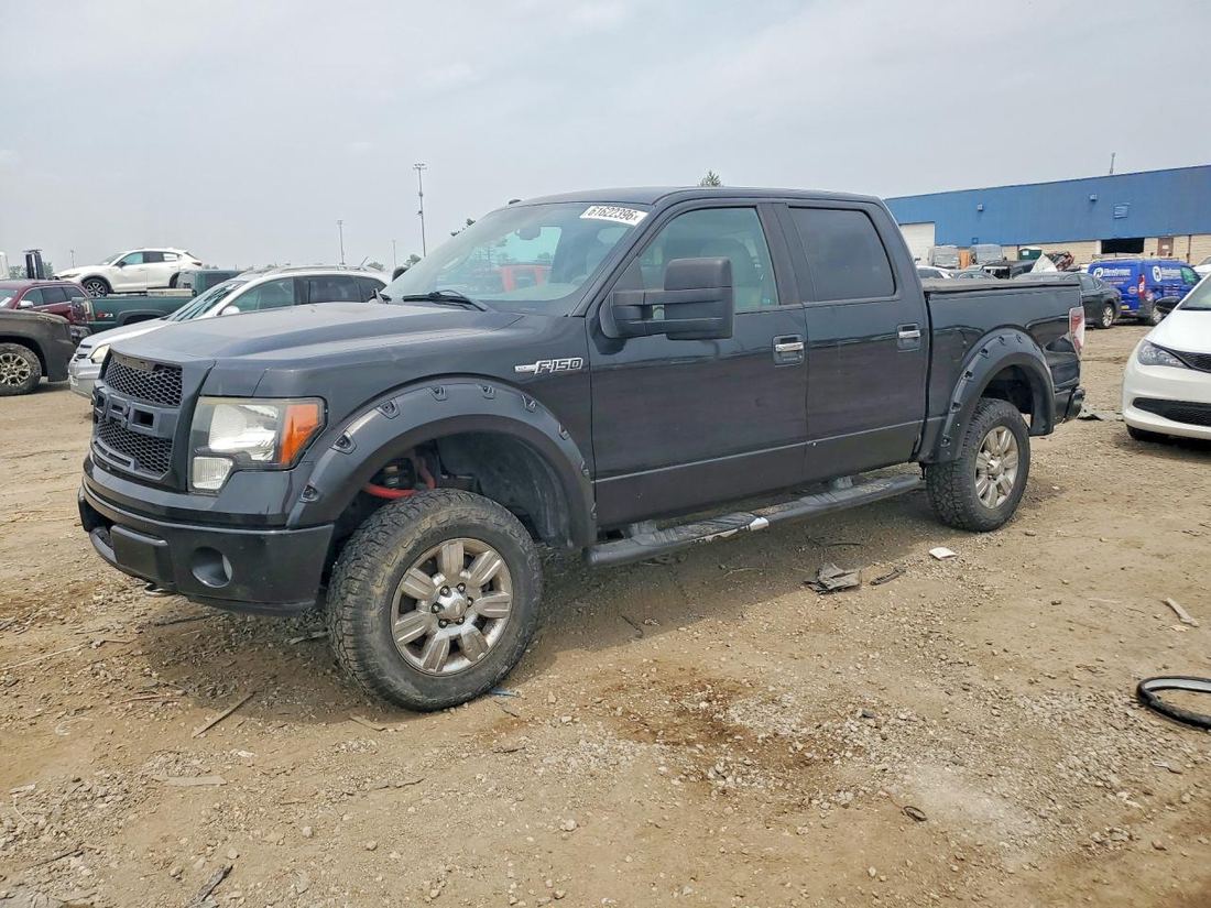 2010 FORD F150