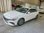 2026 HYUNDAI ELANTRA HYBRID