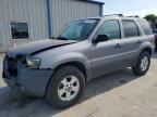 2007 FORD ESCAPE