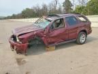 2002 INFINITI QX4