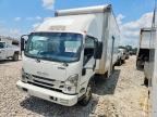 2023 ISUZU NPR HD