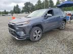 2024 TOYOTA RAV4 PRIME