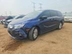 2019 HONDA ODYSSEY