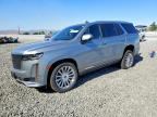 2024 CADILLAC ESCALADE