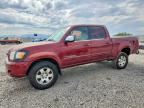 2005 TOYOTA TUNDRA