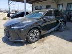 2025 LEXUS RX 350