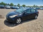 2011 HYUNDAI ELANTRA