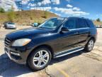 2012 MERCEDES-BENZ ML