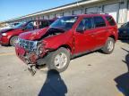 2010 FORD ESCAPE