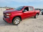 2021 CHEVROLET SILVERADO