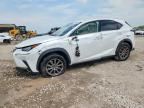 2019 LEXUS NX 300