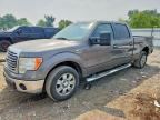 2010 FORD F150