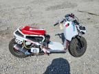 2020 HONDA NPS50