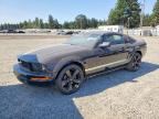 2005 FORD MUSTANG