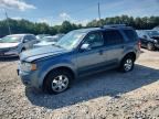 2012 FORD ESCAPE