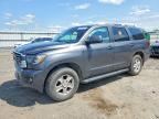 2019 TOYOTA SEQUOIA