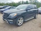 2013 MERCEDES-BENZ ML