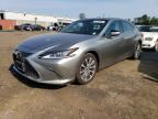 2019 LEXUS ES