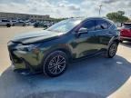 2025 LEXUS NX