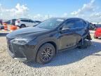 2026 LEXUS NX 350