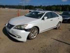 2010 LEXUS ES