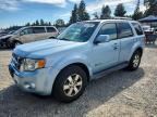 2009 FORD ESCAPE
