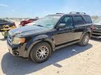 2009 FORD ESCAPE