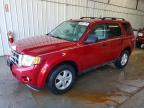 2010 FORD ESCAPE