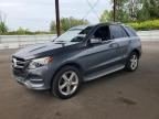 2017 MERCEDES-BENZ GLE