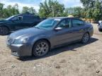 2006 NISSAN ALTIMA
