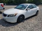 2009 HONDA ACCORD