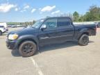 2005 TOYOTA TUNDRA