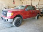 2010 FORD F150