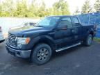 2010 FORD F150