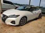 2022 NISSAN MAXIMA
