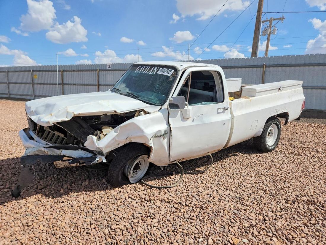 1981 CHEVROLET C20