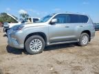 2021 LEXUS GX