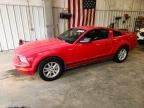 2005 FORD MUSTANG