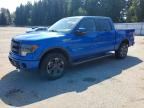 2013 FORD F150