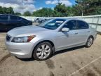 2010 HONDA ACCORD