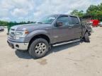 2014 FORD F150