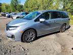 2026 HONDA ODYSSEY