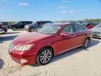 2010 LEXUS ES